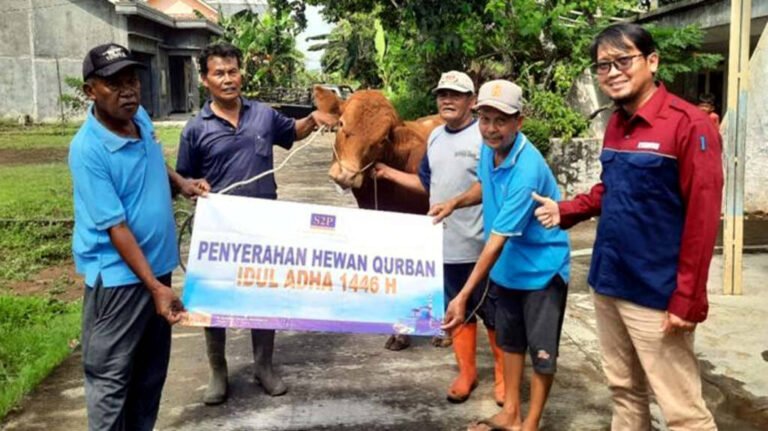 PLTU CILACAP DAN MITRA KERJA SALURKAN PULUHAN HEWAN KURBAN