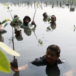 ERHA GROUP TANAM TIGA RATUS POHON MANGROVE MELALUI PROGRAM START TO CHANGE DI INDONESIA