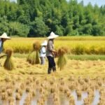 PERKUAT KETAHANAN PANGAN 2026, BAPANAS USULKAN ANGGARAN RP16,10 TRILIUN