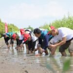 TANAM MANGROVE DI PESISIR KARAWANG, AKSI NYATA SC SQUAD AHM DUKUNG WISATA HIJAU