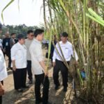 WAPRES MINTA PETANI ADOPSI TEKNOLOGI MODERN