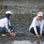 BNI RAIH PENGHARGAAN GREEN WARRIOR AWARD