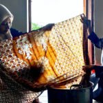 PRODUKSI SHIBORI BATIK DAN PELESTARIAN BATIK BETAWI