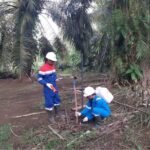 DUKUNG KETAHANAN ENERGI NASIONAL, ELNUSA PERCEPAT JASA EKSPLORASI MIGAS DI INDONESIA TIMUR