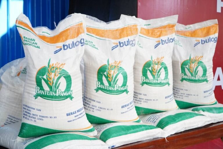 BAPANAS TUGASI BULOG SALURKAN BANTUAN BERAS DAN MINYAK GORENG KEPADA 33,2 JUTA PENERIMA