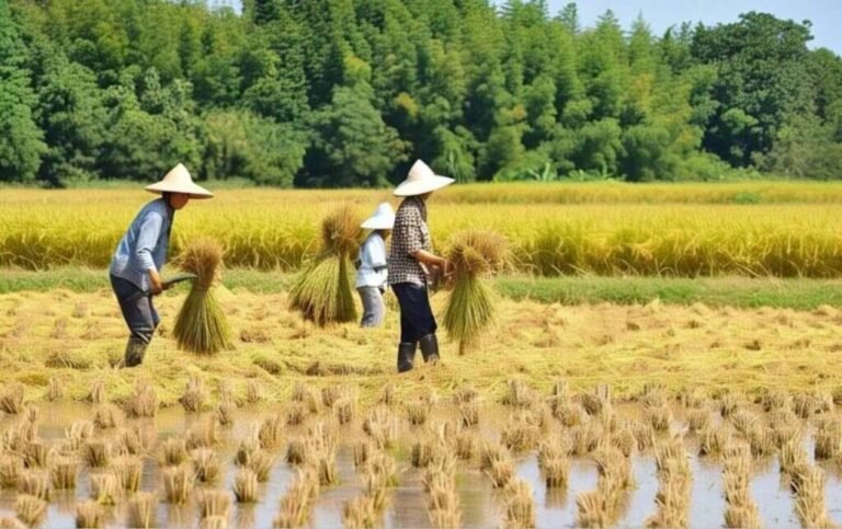 BULOG DAN KEMENHAJ MATANGKAN RENCANA EKSPOR BERAS KE ARAB SAUDI