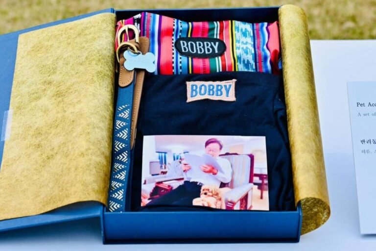 KETIKA DIPLOMASI ‘ANABUL’ ALA PRABOWO CURI PERHATIAN PRESIDEN KORSEL