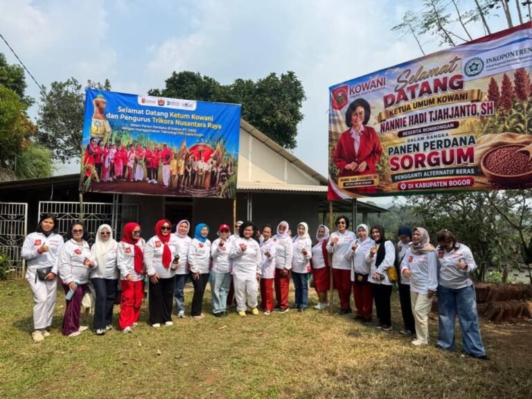 KOWANI DORONG PERLUASAN BUDIDAYA SORGUM